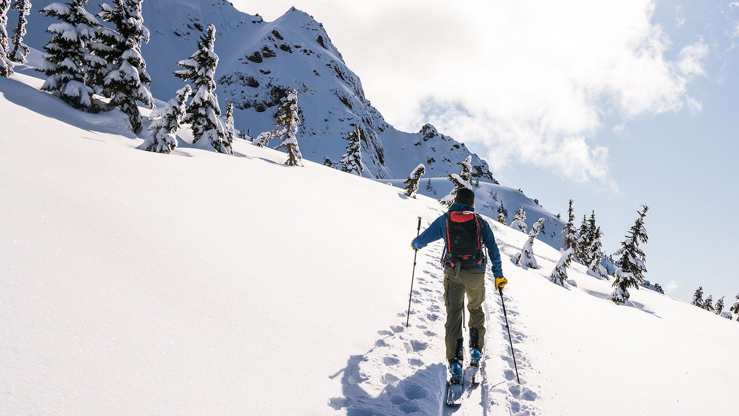 Backcountry Blend
